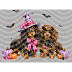 Halloween-WS 12005